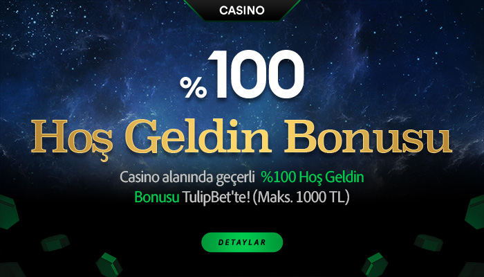 tulipbet